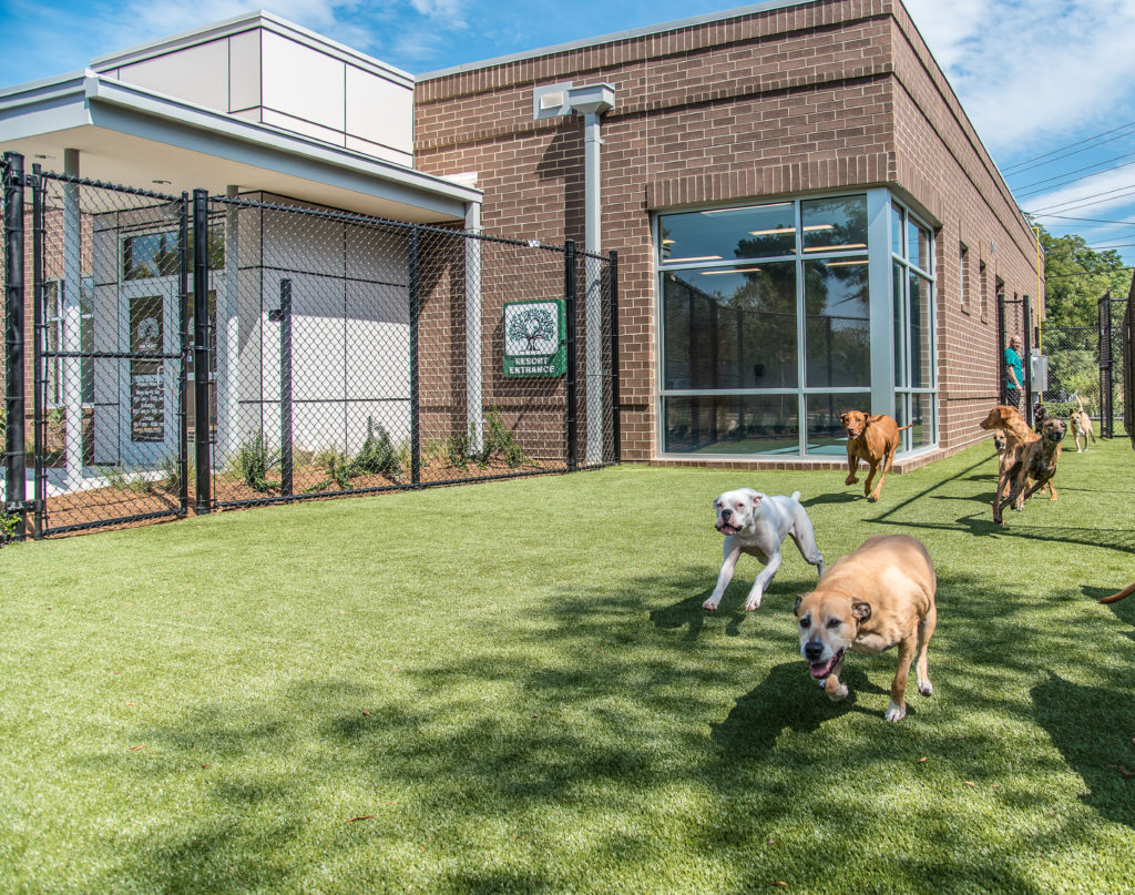 Oak Heart Vet Hospital Case Study - Williams Realty & Building Company